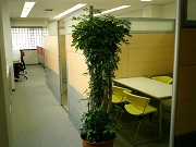 CIMG0048.JPG